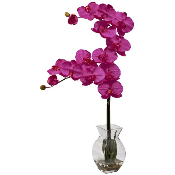 Phalaenopsis Orchid w/Vase Arrangement - SKU #1295-BU