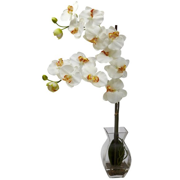 Phalaenopsis Orchid w/Vase Arrangement - SKU #1295-BU - 5