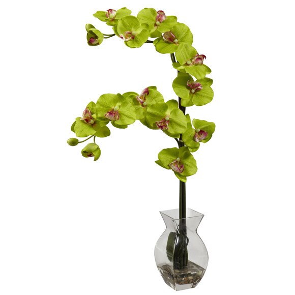 Phalaenopsis Orchid w/Vase Arrangement - SKU #1295-BU - 7