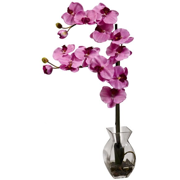 Phalaenopsis Orchid w/Vase Arrangement - SKU #1295-BU - 6