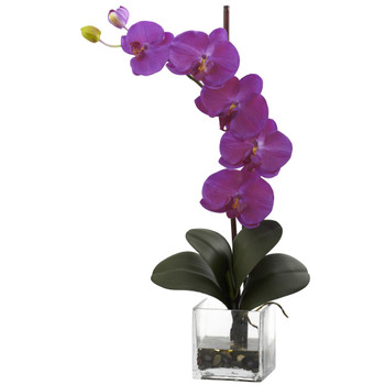 Giant Phal Orchid w/Vase Arrangement - SKU #1324-OR