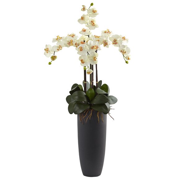 Phalaenopsis Orchid Arrangement with Bullet Planter - SKU #1369 - 5