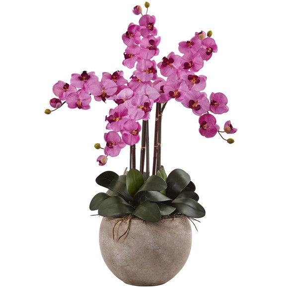 Phalaenopsis Orchid Arrangement with Sand Colored Bowl - SKU #1402 - 6