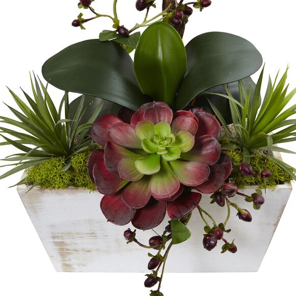 Seasonal Orchid Succulent Garden w/White Wash Planter - SKU #1418-AT - 1