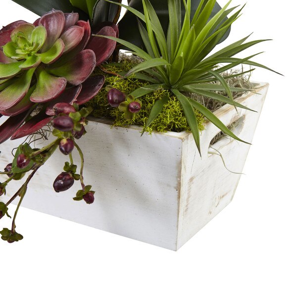 Seasonal Orchid Succulent Garden w/White Wash Planter - SKU #1418-AT - 2