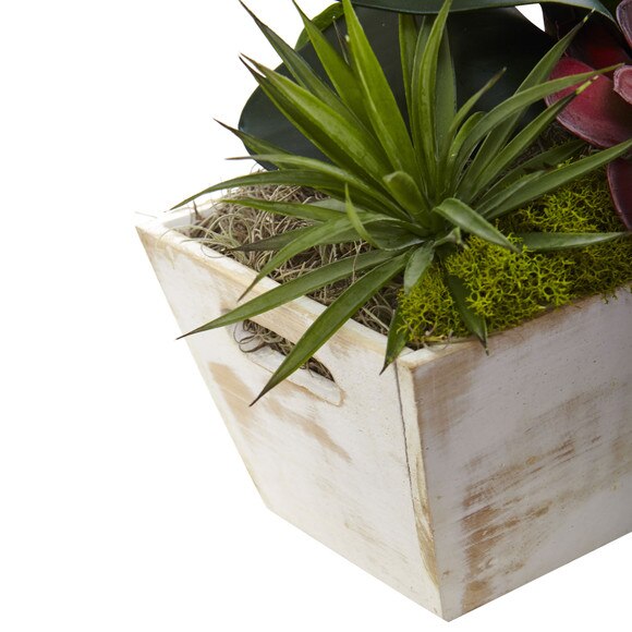 Seasonal Orchid Succulent Garden w/White Wash Planter - SKU #1418-AT - 3