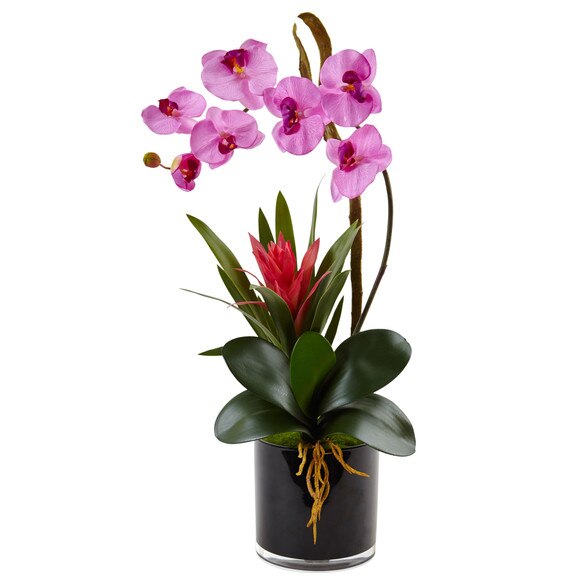 Orchid and Bromeliad in Glossy Black Cylinder - SKU #1437-DP - 3