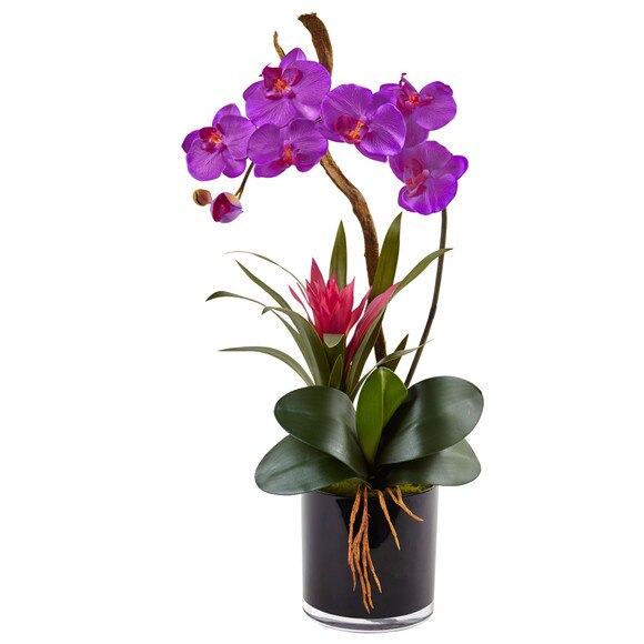 Orchid and Bromeliad in Glossy Black Cylinder - SKU #1437-DP - 1