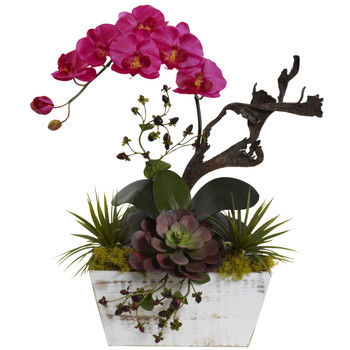 Orchid Succulent Garden with White Wash Planter - SKU #1458
