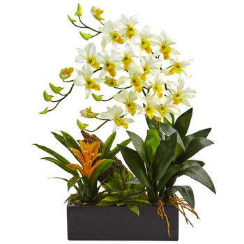 Dendrobium and Bromeliad Arrangement - SKU #1470-CR