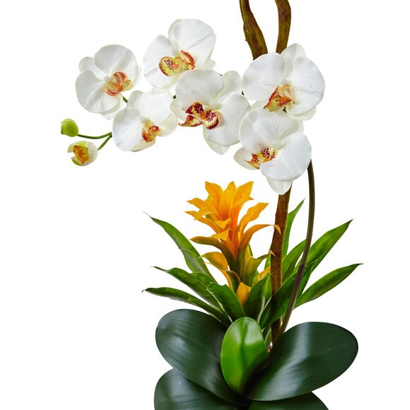 Orchid and Bromeliad in Glossy Black Cylinder - SKU #1478 - 9