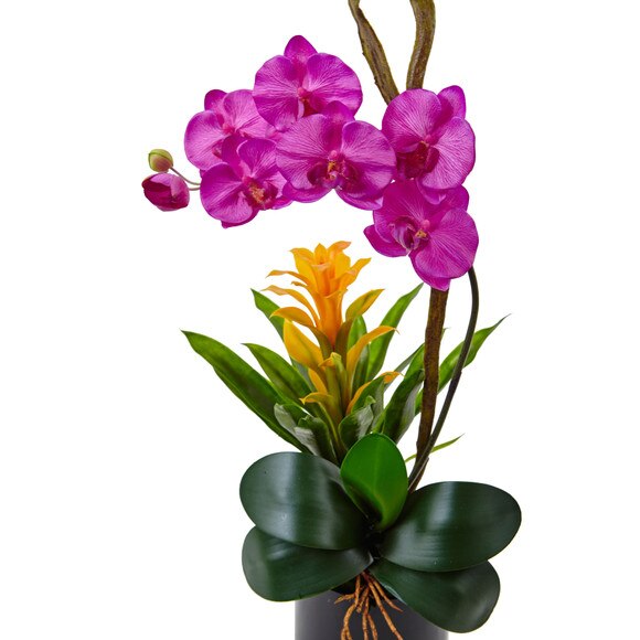 Orchid and Bromeliad in Glossy Black Cylinder - SKU #1478 - 1