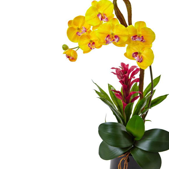 Orchid and Bromeliad in Glossy Black Cylinder - SKU #1478 - 7