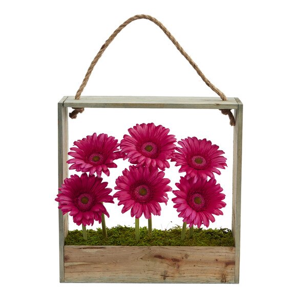 Gerber Daisy Garden in Hanging Frame - SKU #1482