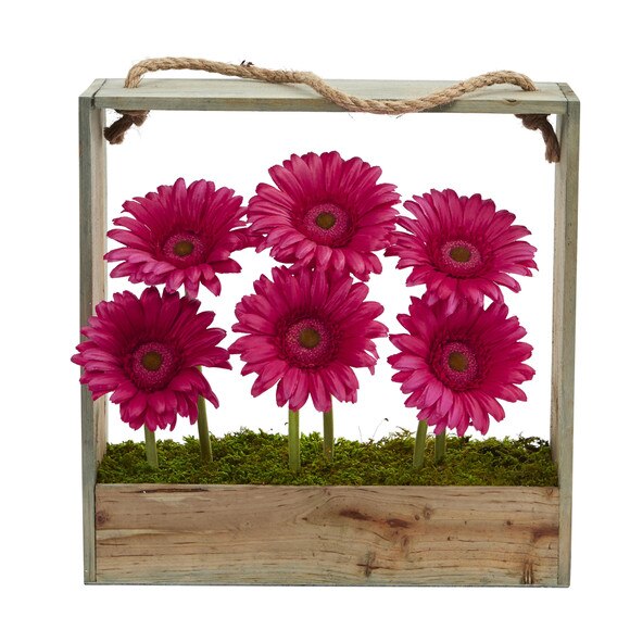 Gerber Daisy Garden in Hanging Frame - SKU #1482 - 1