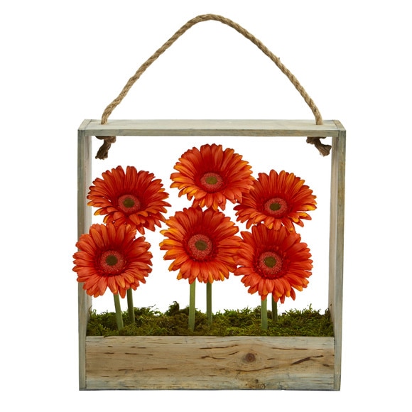 Gerber Daisy Garden in Hanging Frame - SKU #1482 - 10