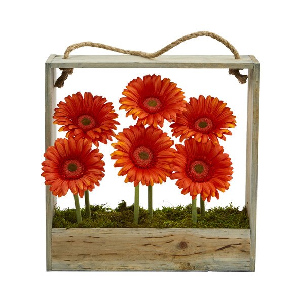 Gerber Daisy Garden in Hanging Frame - SKU #1482 - 11