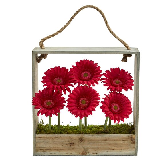 Gerber Daisy Garden in Hanging Frame - SKU #1482 - 2