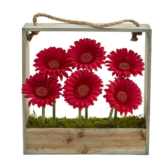 Gerber Daisy Garden in Hanging Frame - SKU #1482 - 3