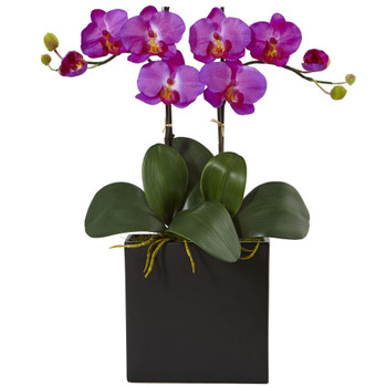 Double Mini Phalaenopsis in Black Vase - SKU #1483
