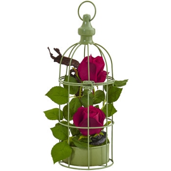 Roses Arrangement in Bird Cage - SKU #1484