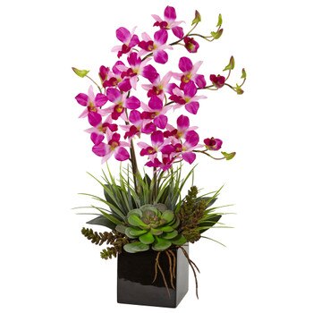 Orchid and Succulent Arrangement in Black Vase - SKU #1511-PP