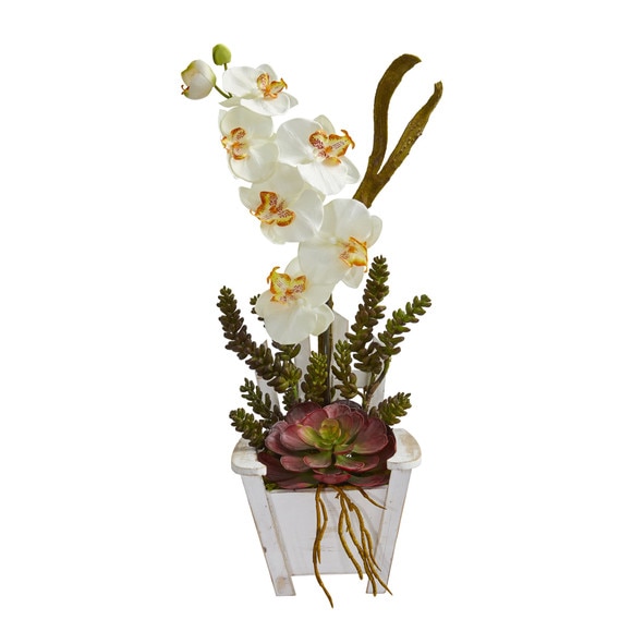 Phalaenopsis Orchid Succulent Artificial Arrangement in Chair Planter - SKU #1584 - 10