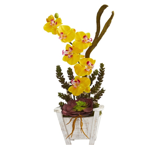 Phalaenopsis Orchid Succulent Artificial Arrangement in Chair Planter - SKU #1584 - 8