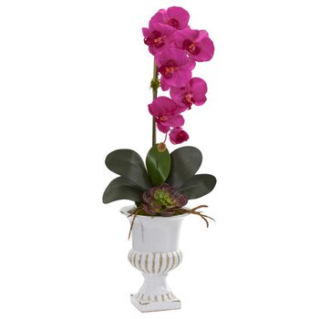 Phalaenopsis Orchid and Succulent Artificial Arrangement in Urn - SKU #1604-CR