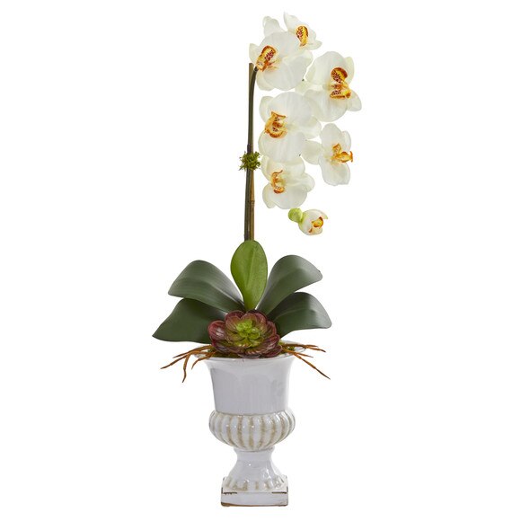 Phalaenopsis Orchid and Succulent Artificial Arrangement in Urn - SKU #1604-CR - 5
