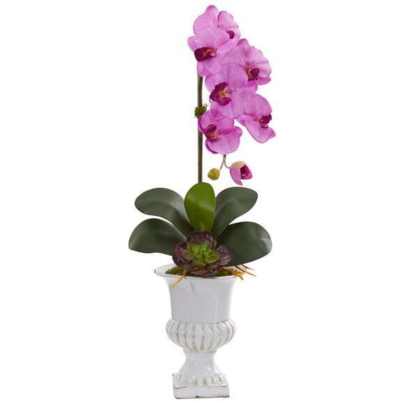 Phalaenopsis Orchid and Succulent Artificial Arrangement in Urn - SKU #1604-CR - 6