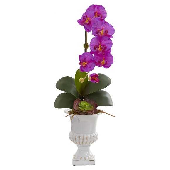 Phalaenopsis Orchid and Succulent Artificial Arrangement in Urn - SKU #1604-CR - 1