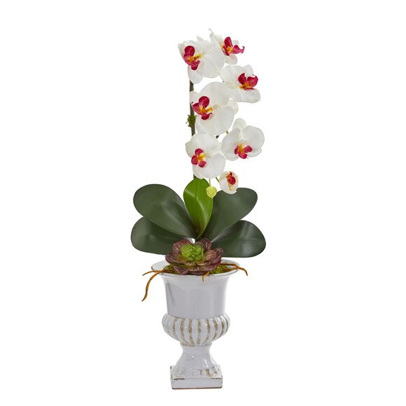 Phalaenopsis Orchid and Succulent Artificial Arrangement in Urn - SKU #1604-CR - 2