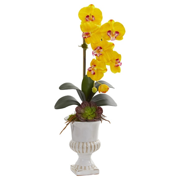 Phalaenopsis Orchid and Succulent Artificial Arrangement in Urn - SKU #1604-CR - 4