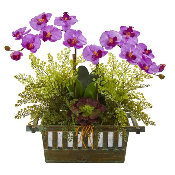 Orchid Succulent and Maiden Hair Artificial Arrangement - SKU #1625 - 6