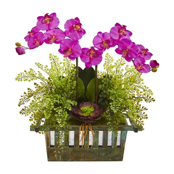 Orchid Succulent and Maiden Hair Artificial Arrangement - SKU #1625 - 1