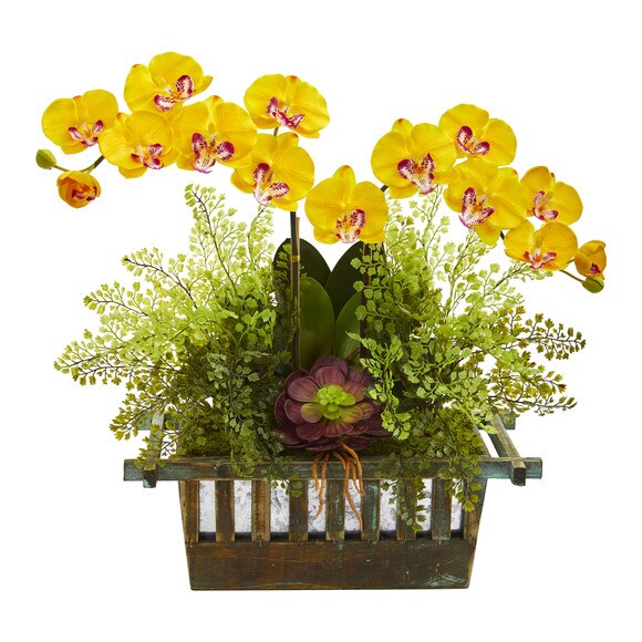 Orchid Succulent and Maiden Hair Artificial Arrangement - SKU #1625 - 4