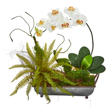 Phelaenopsis Orchid and Fern Artificial Arrangement in Metal Tray - SKU #1893