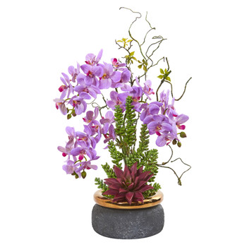 Phalaenopsis Orchid and Succulent Artificial Arrangement - SKU #1932
