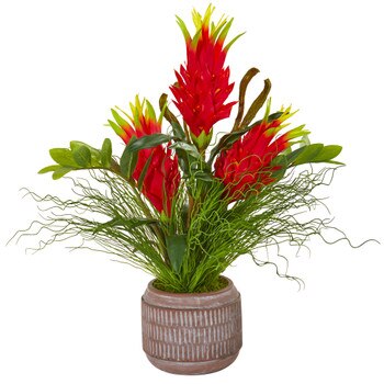 Dragon Fruit Zamioculcas and Grass Artificial Arrangement - SKU #1947