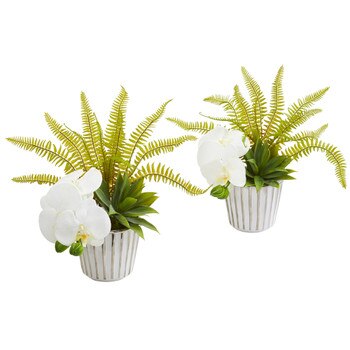 13 Phalaenopsis Orchid Agave and Fern Artificial Arrangement Set of 2 - SKU #1978-S2