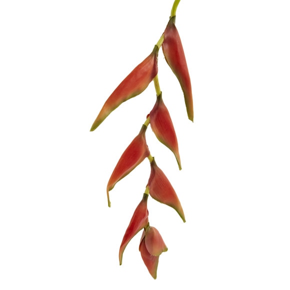 31 Hanging Heliconia Artificial Flower Set of 4 - SKU #2205-S4 - 2