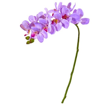 21 Phalaenopsis Orchid Artificial Flower Set of 6 - SKU #2268-S6