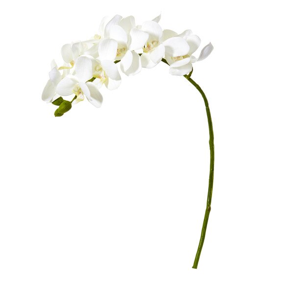21 Phalaenopsis Orchid Artificial Flower Set of 6 - SKU #2268-S6