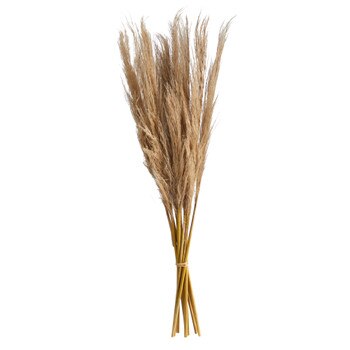 40 Dried Natural Pampass Grass Bundle Set of 2 - SKU #2391-S2