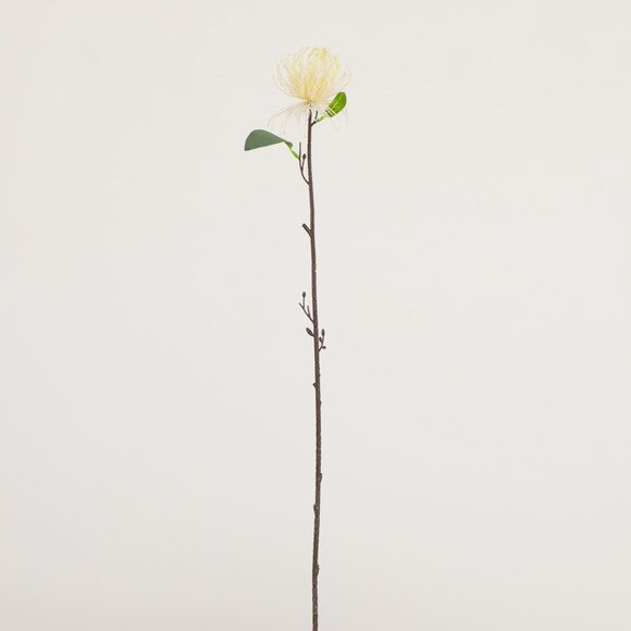 24-in Artificial Pincushion Protea Flower Stem - Set of 4 - SKU #2475-S4 - 8