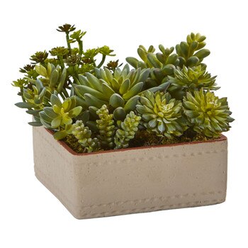 7 Mixed Succulent Artificial Plant with Decorative Planter - SKU #4227