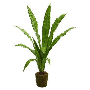 5 Birdsnest Artificial Plant - SKU #4295
