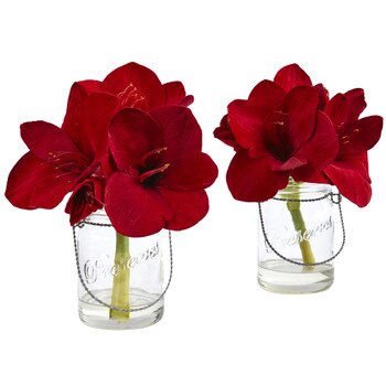 Amaryllis in Glass Vase Set of 2 - SKU #4547-S2