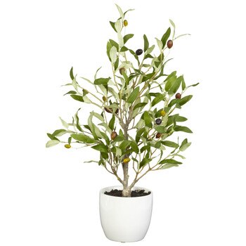 18 Olive Tree w/Vase - SKU #4774